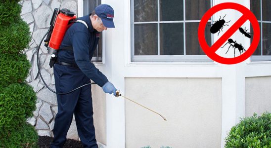 Tekkeköy Kene İlaçlama böcek ilaçlama ve haşere kontrolü — ilaclama-tr.com